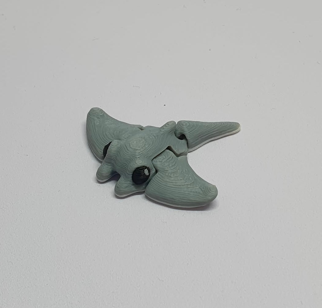 Stingray
