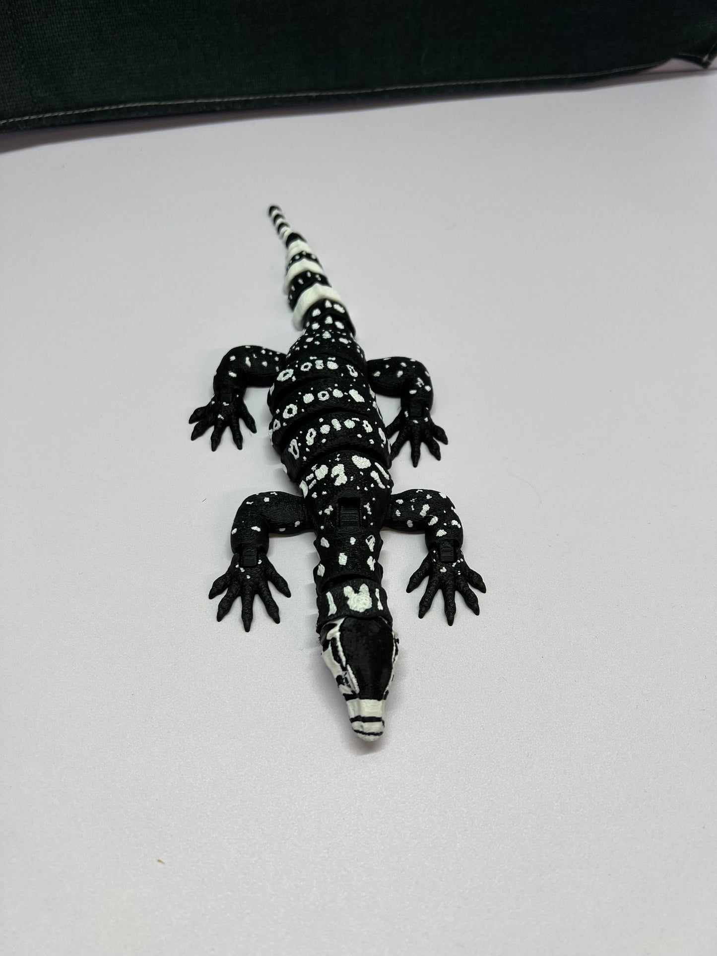 Asian water monitor Black/white