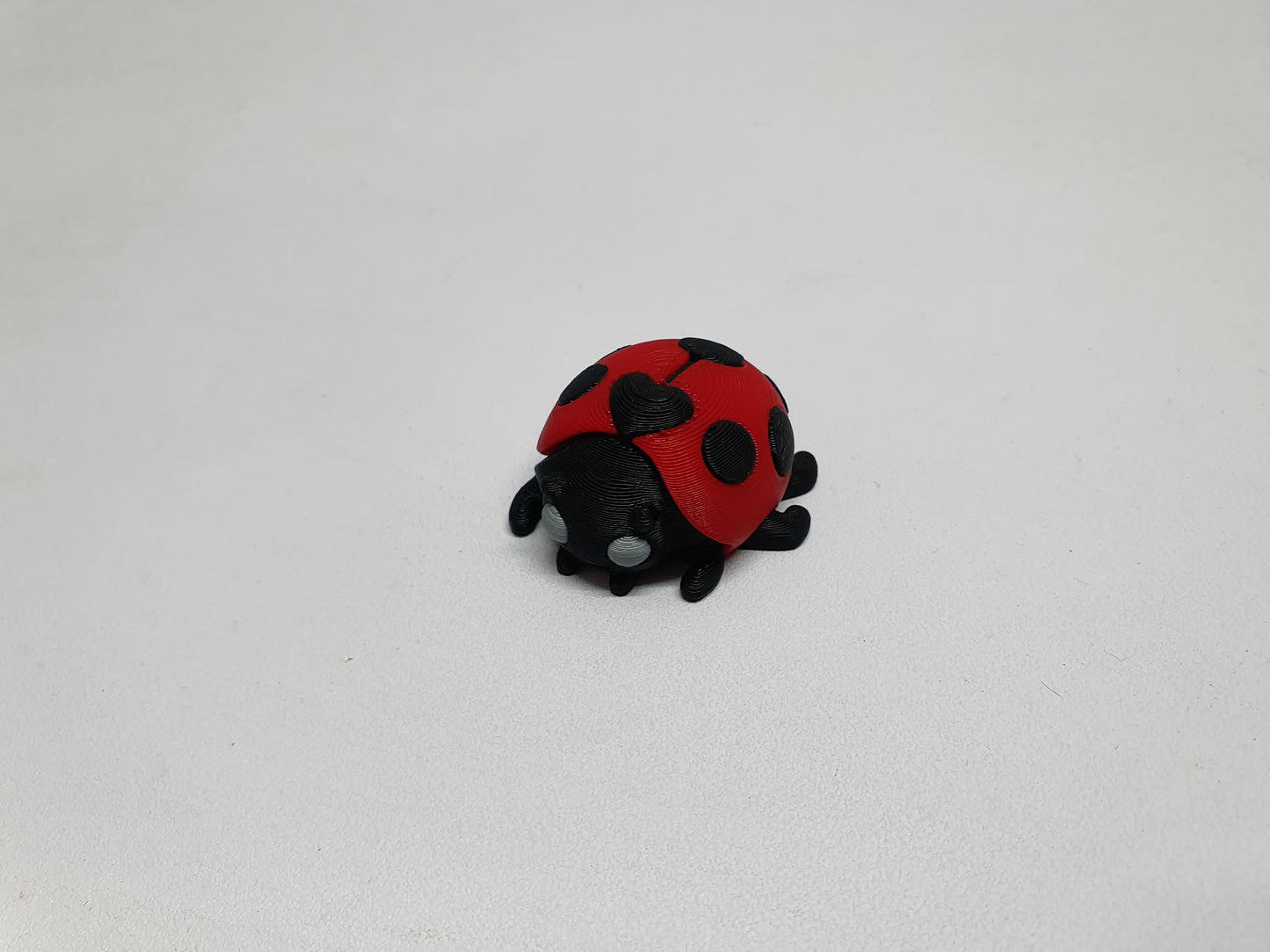 Ladybird