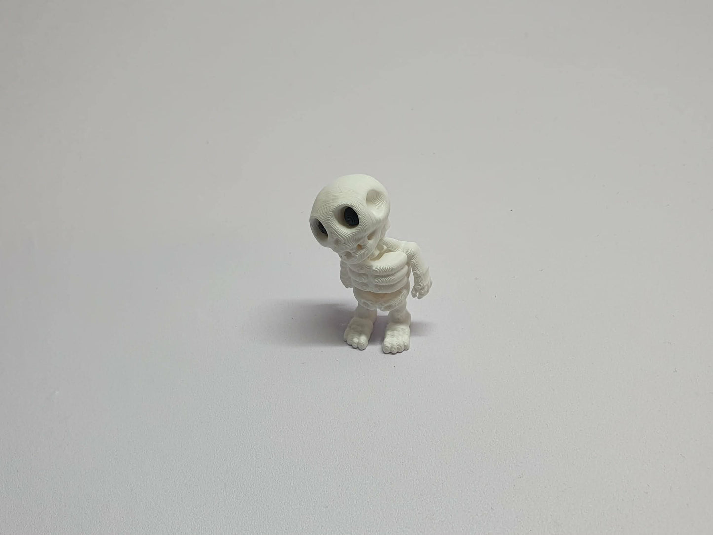 Skeleton
