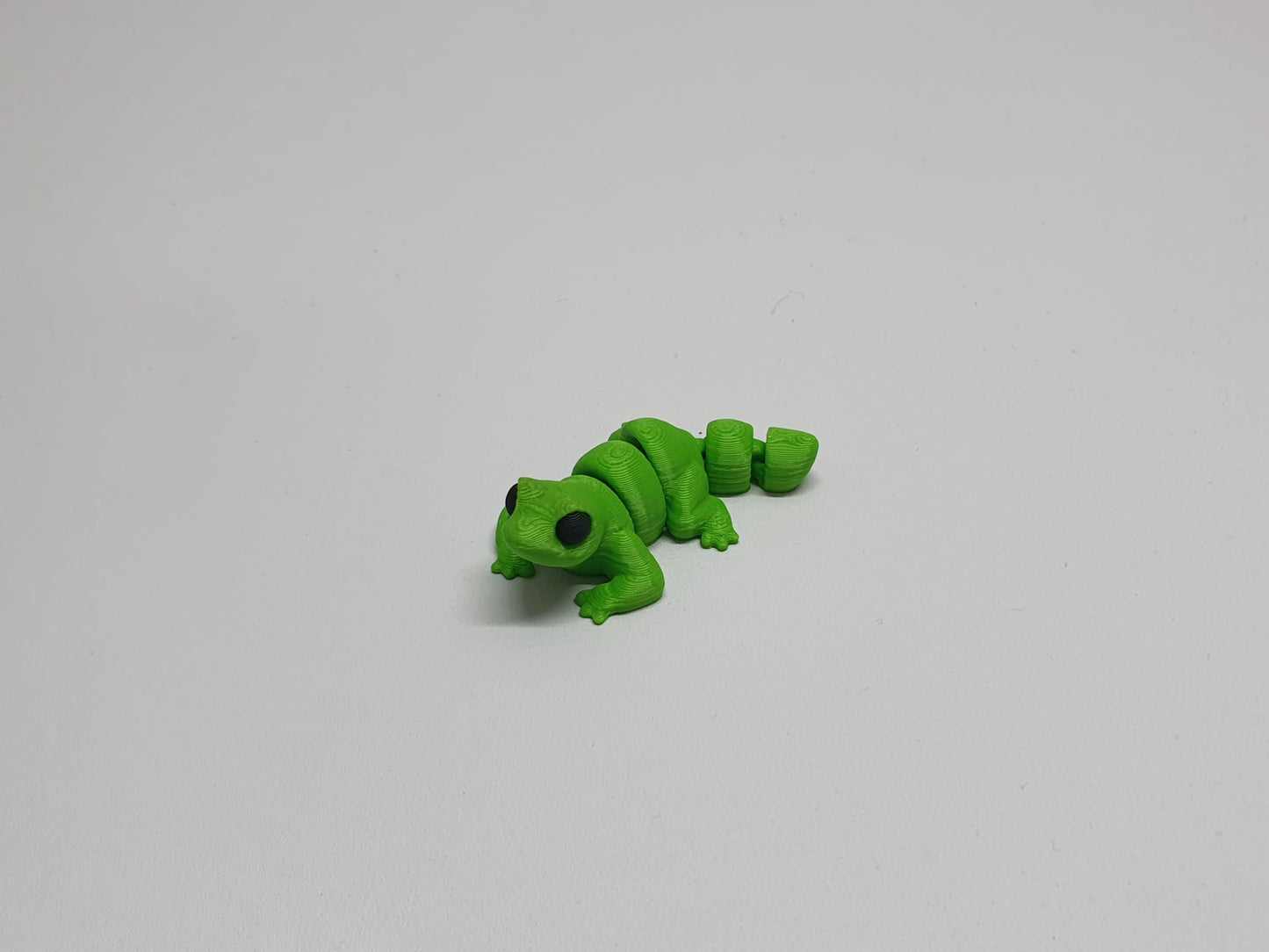 Lizard