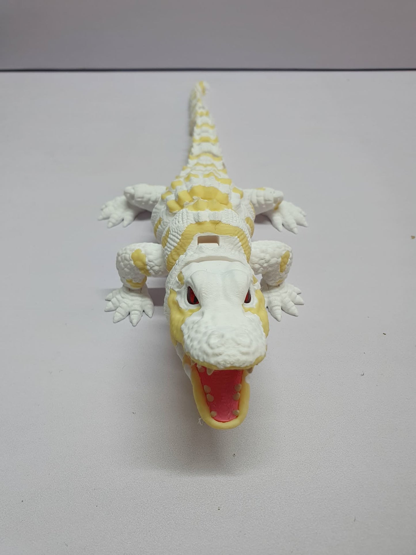 Albino alligator