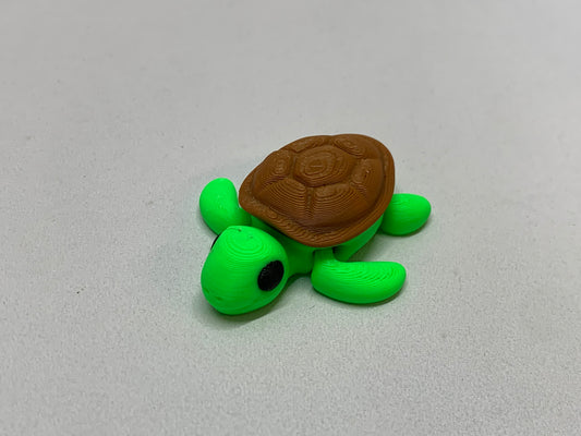 Turtle