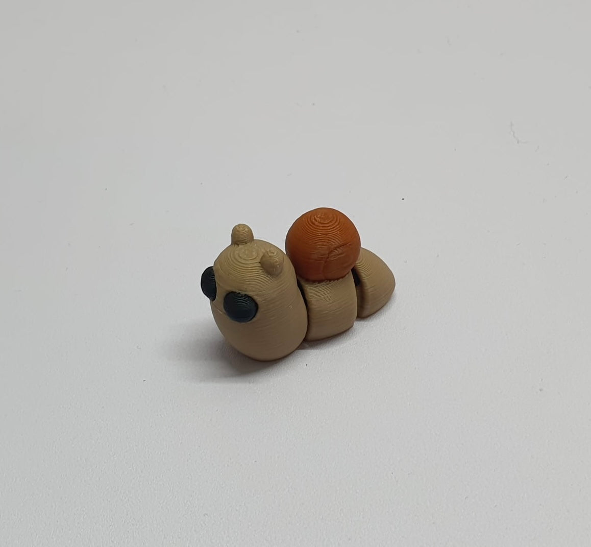 Snail