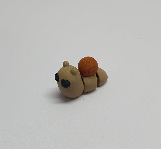 Snail