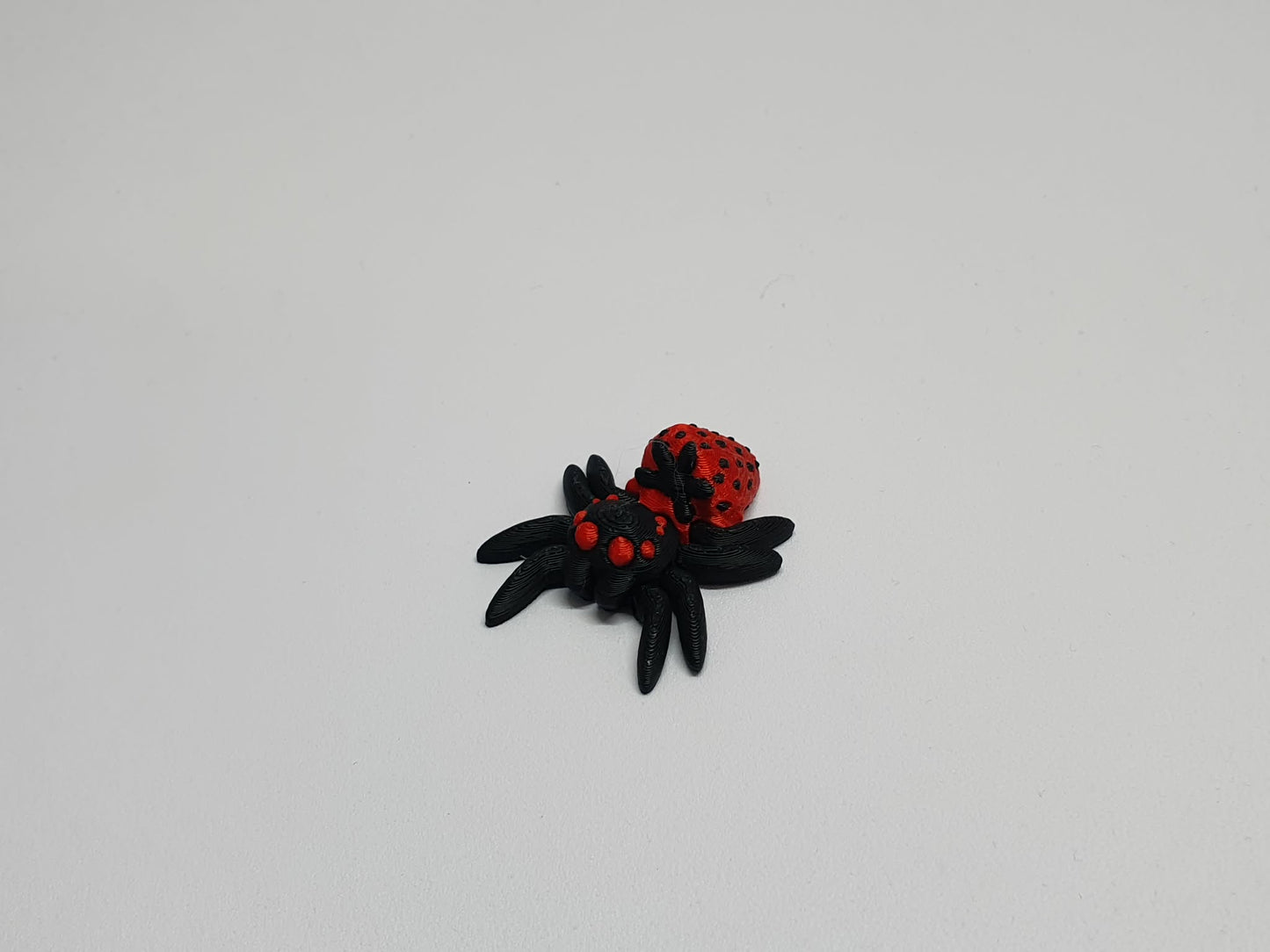 Spiders