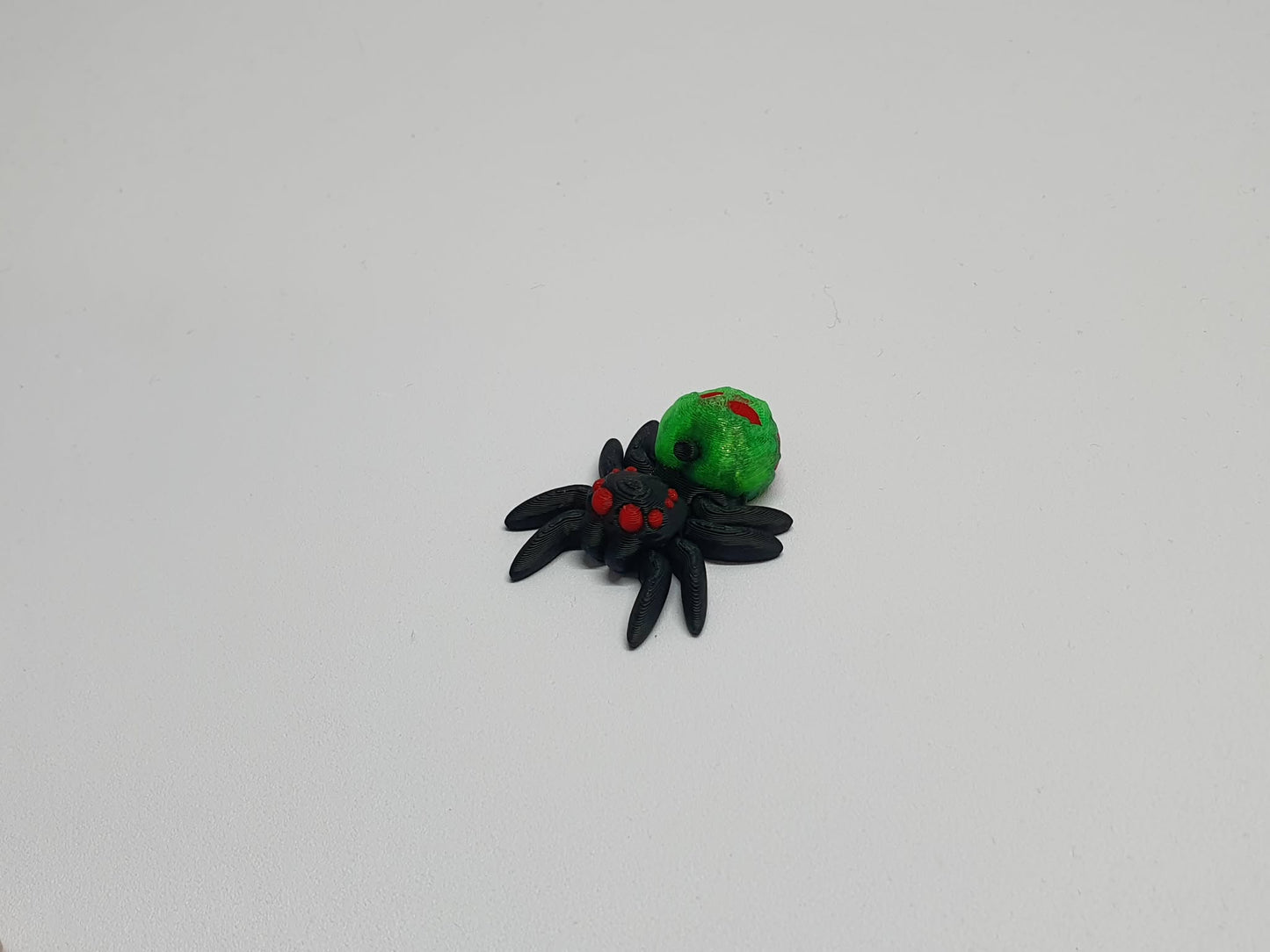 Spiders