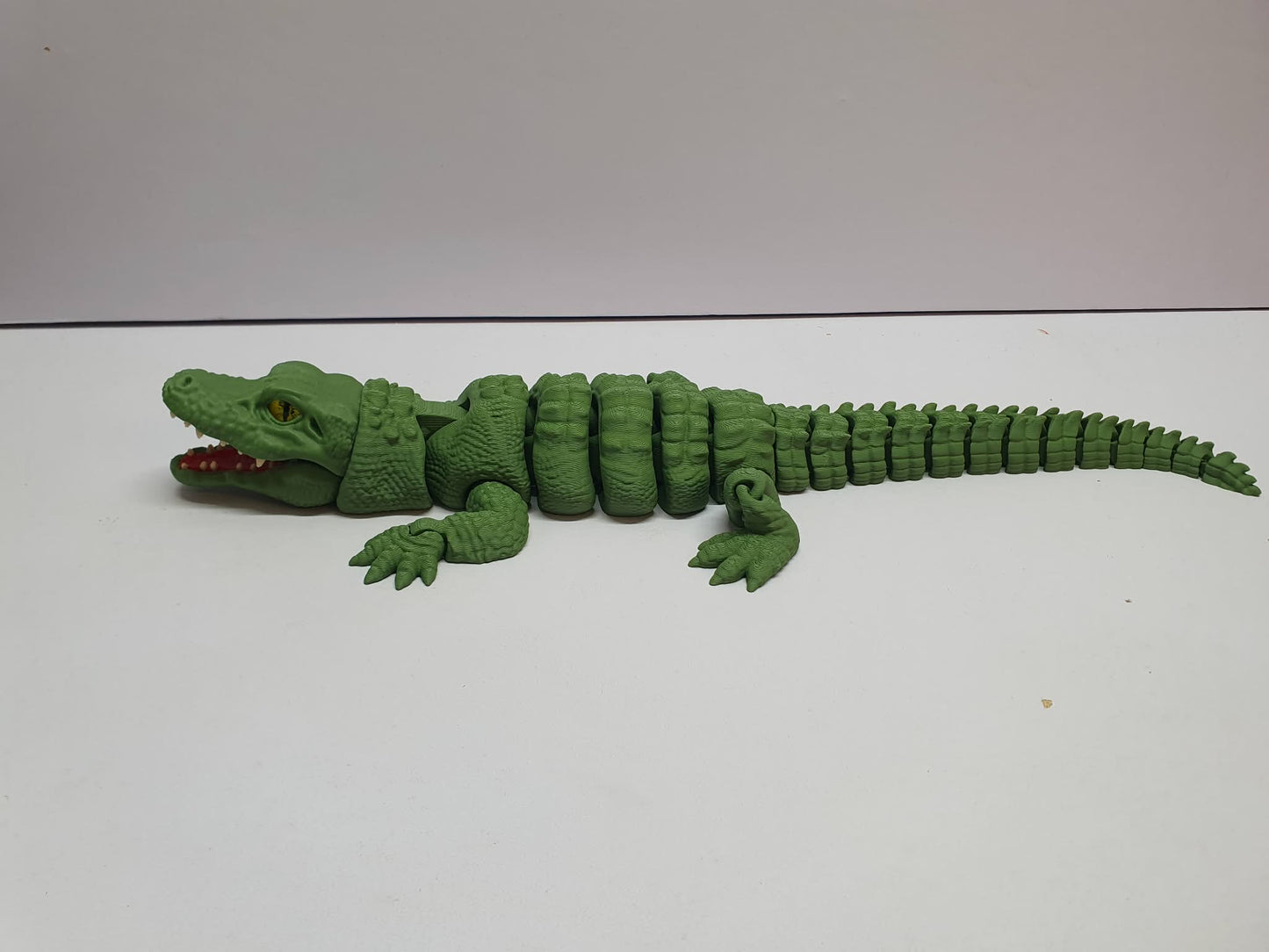 Alligator