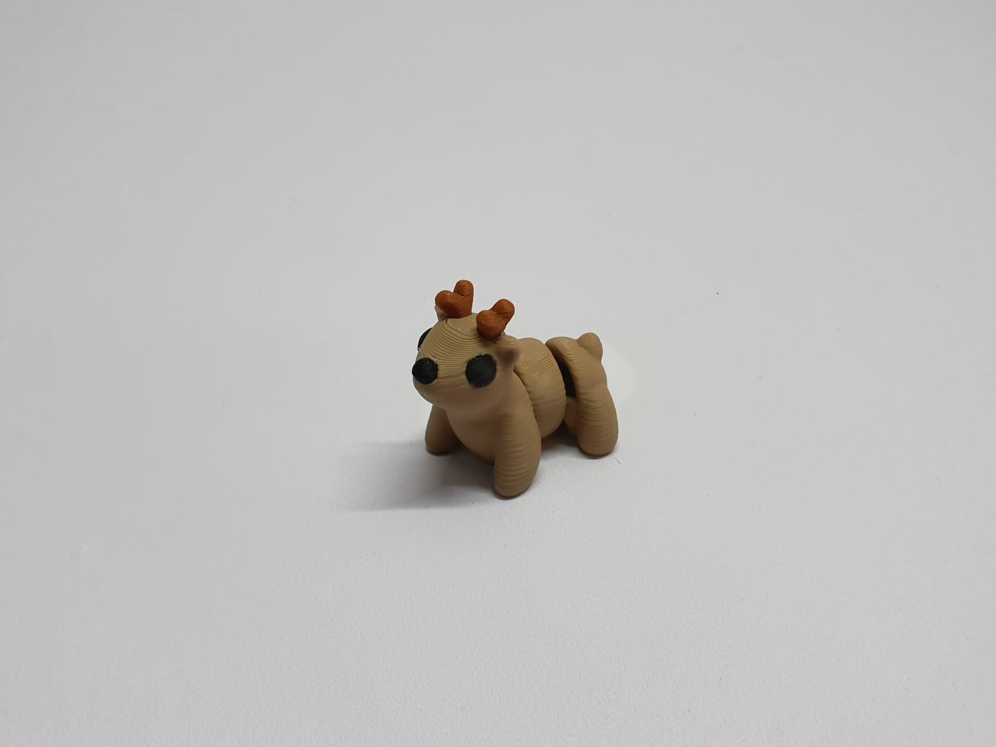 Reindeer