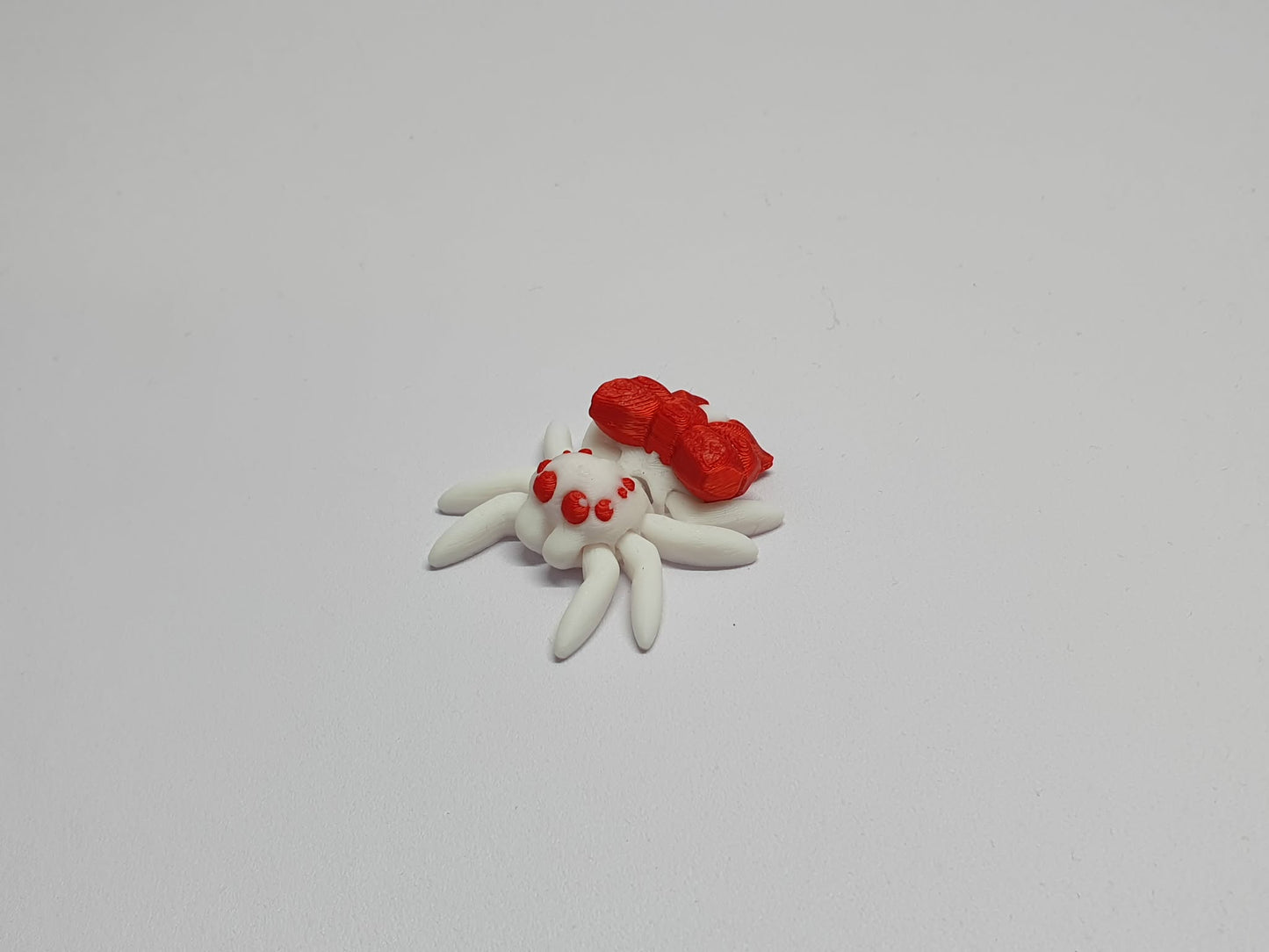 Spiders
