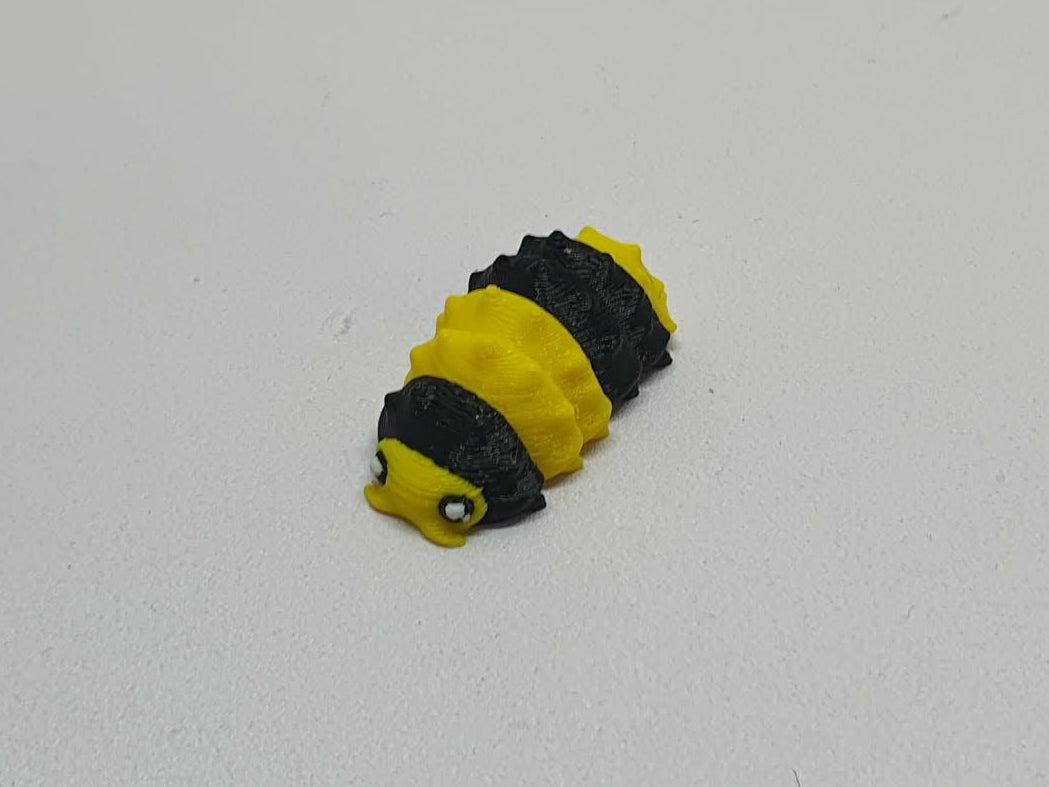 Isopod’s