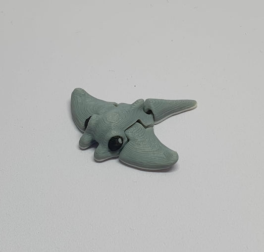 Stingray