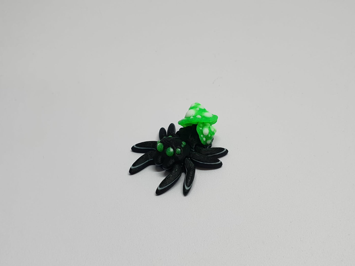 Spiders