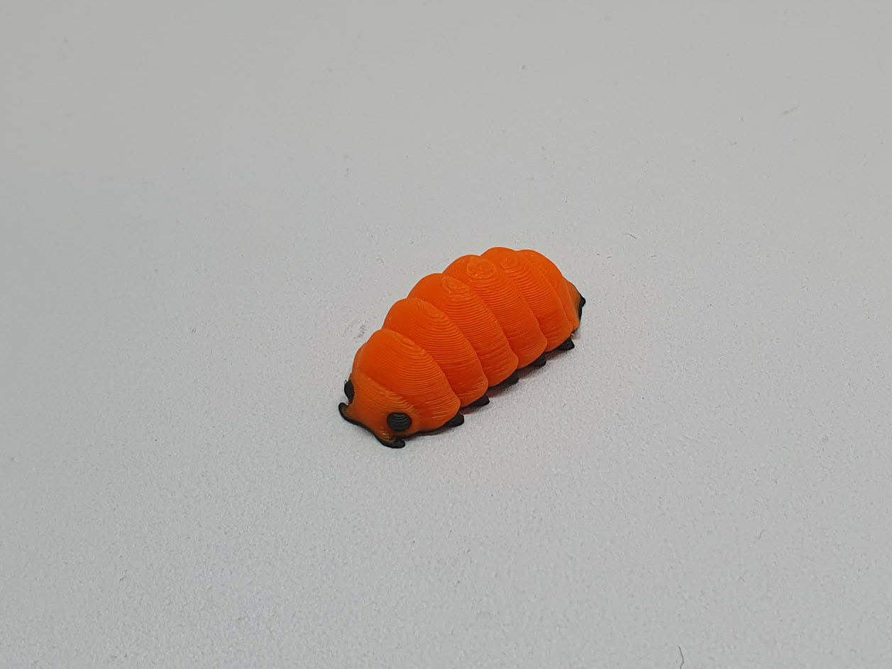 Isopod’s