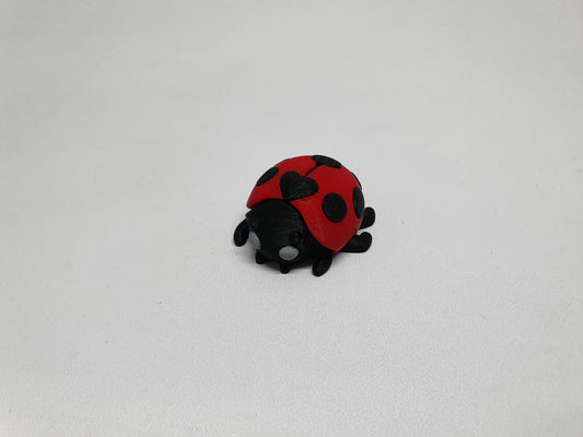 Ladybird