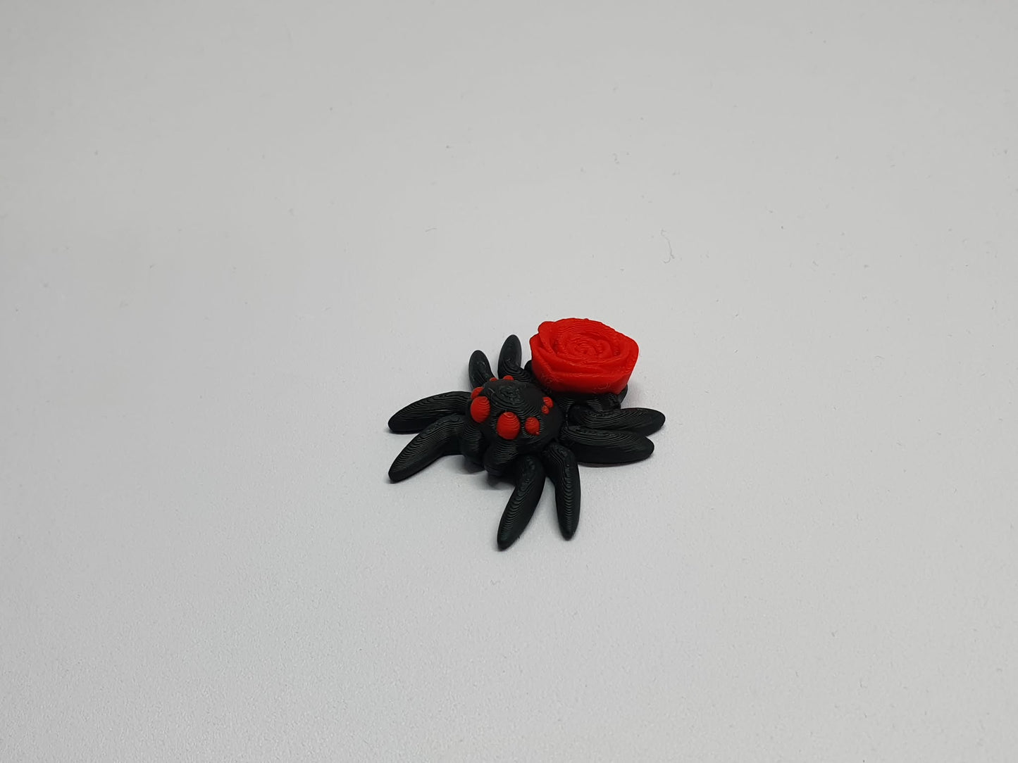Spiders
