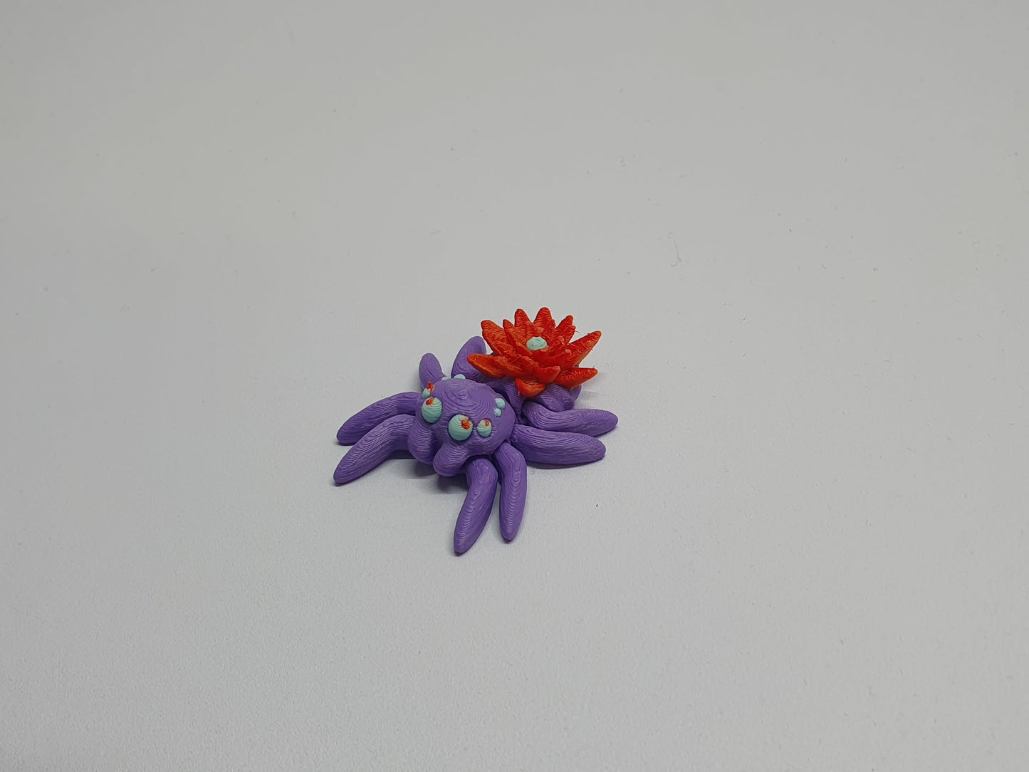 Spiders