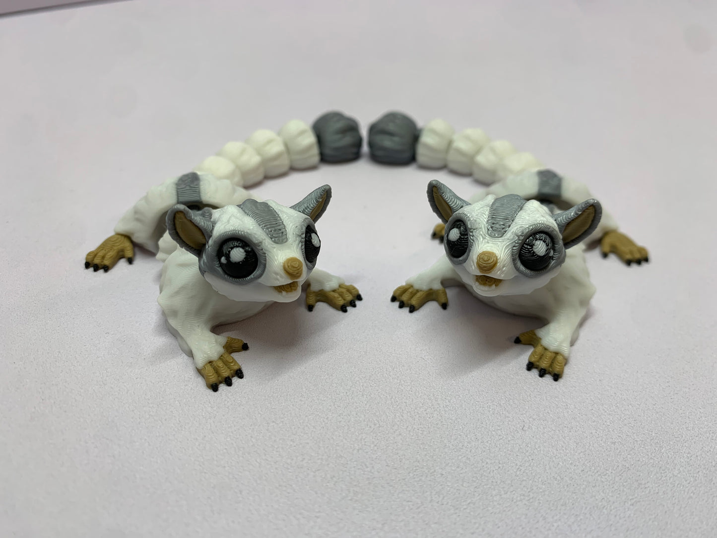 Sugar glider