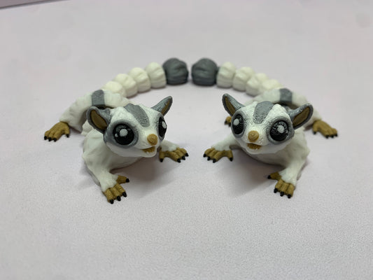 Sugar glider