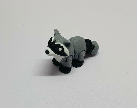 Raccoon