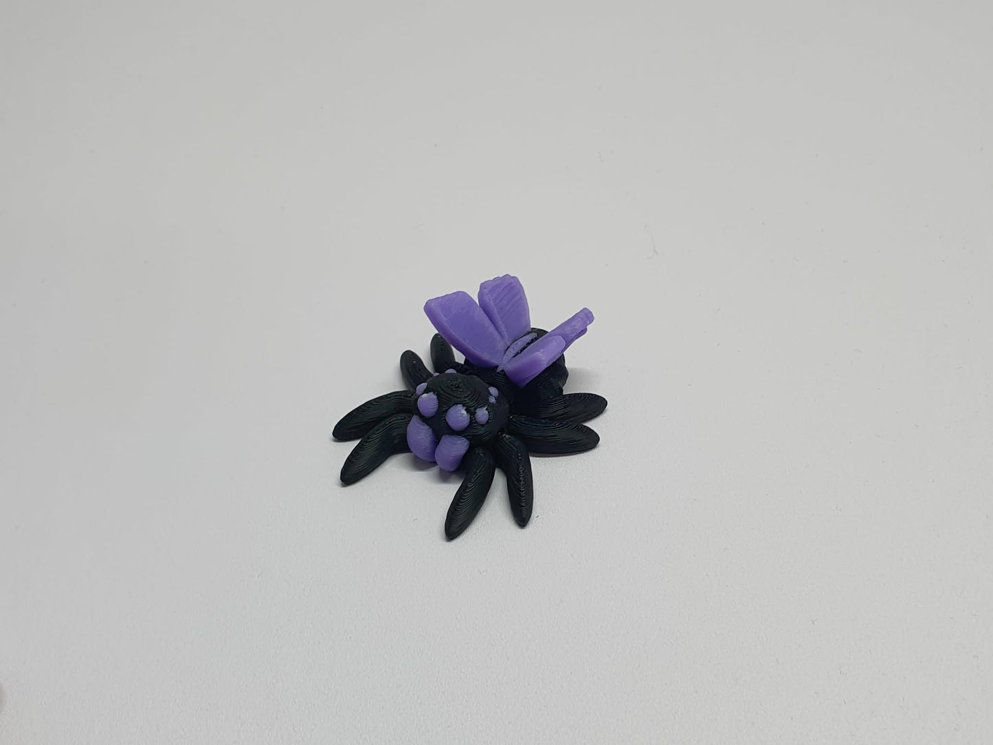 Spiders