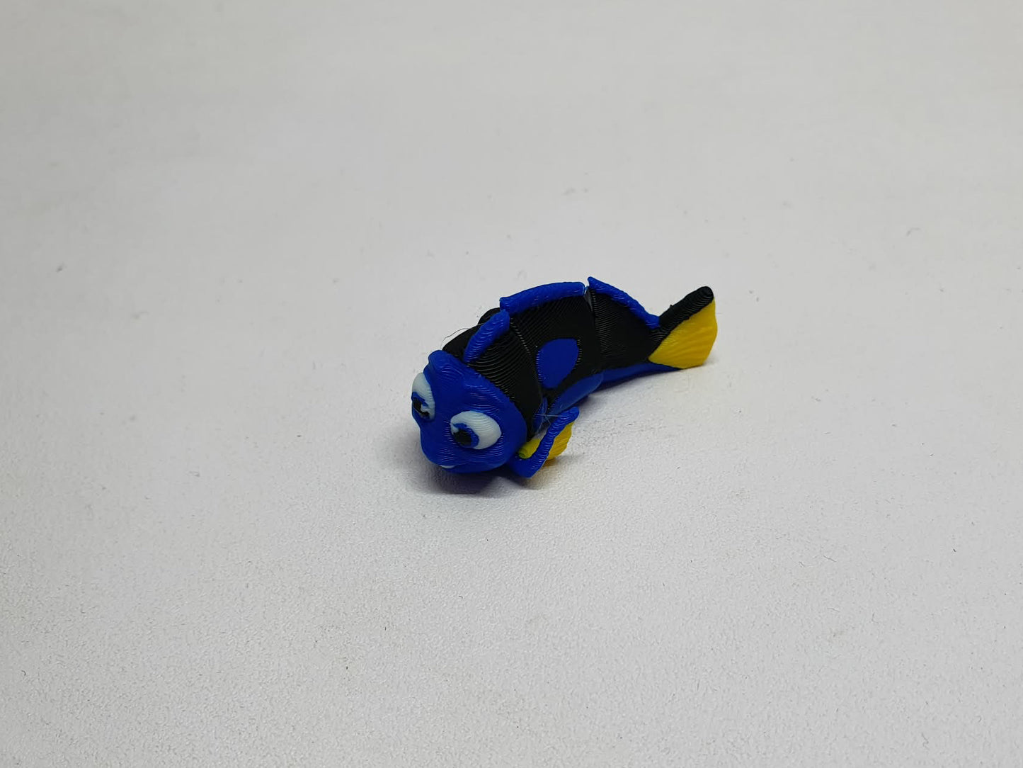 Dory / Blue Tang