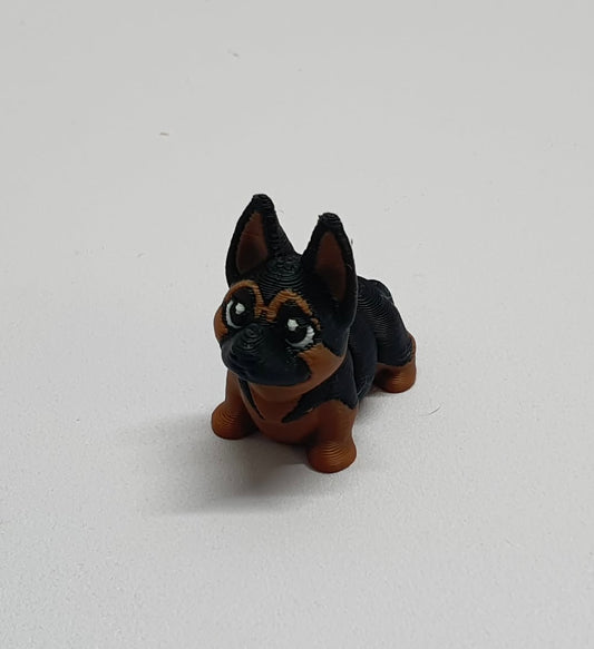 Mini German shepherd