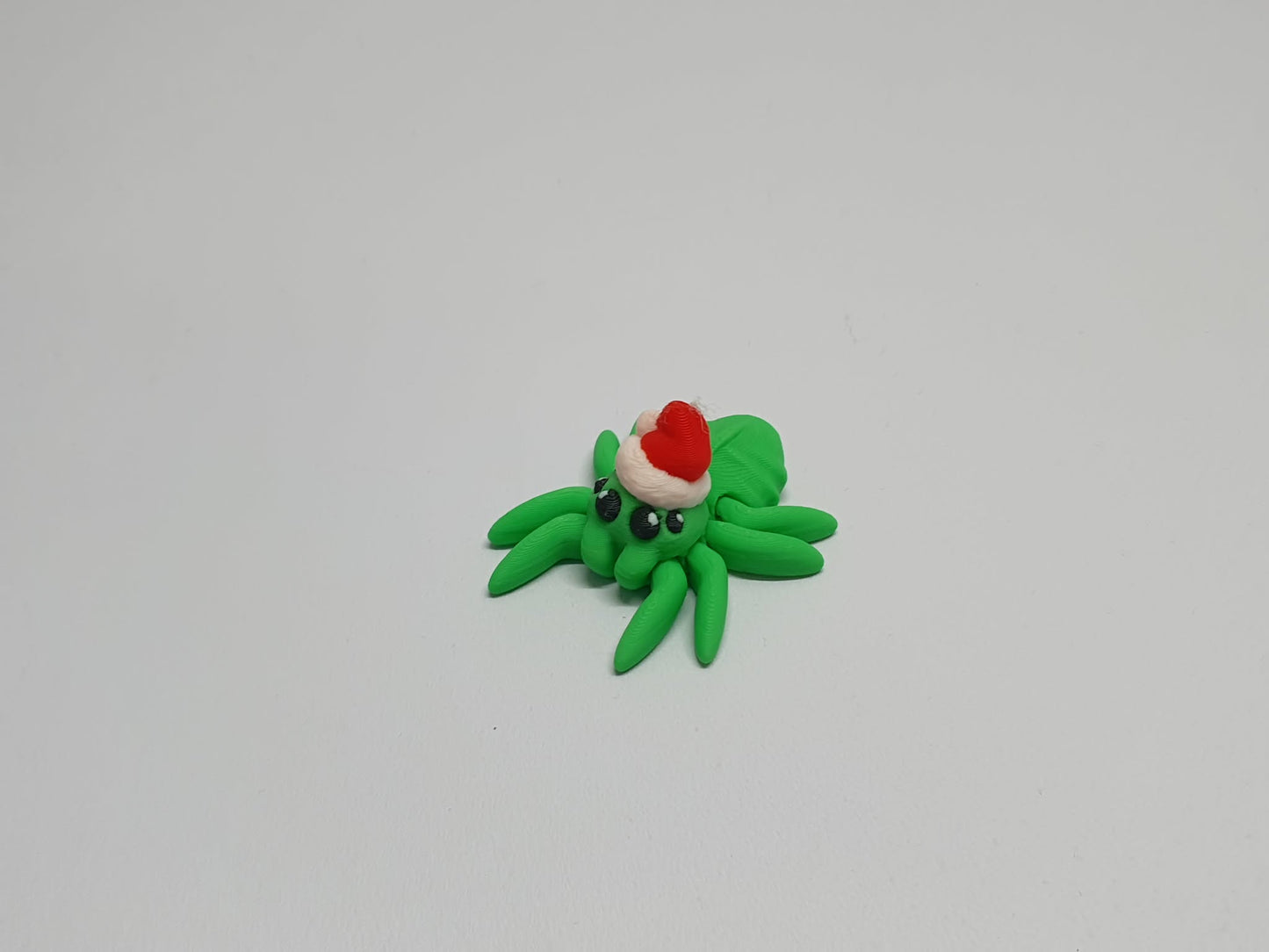 Spiders
