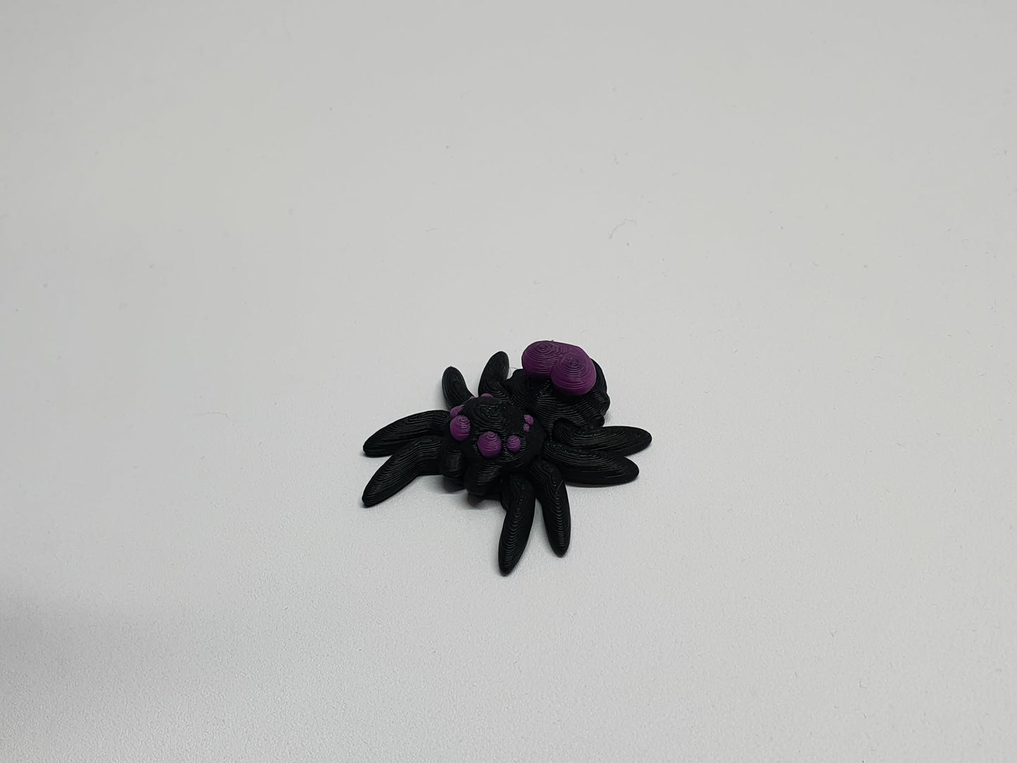 Spiders