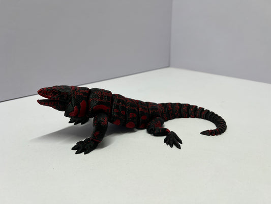 Black and Red Tegu