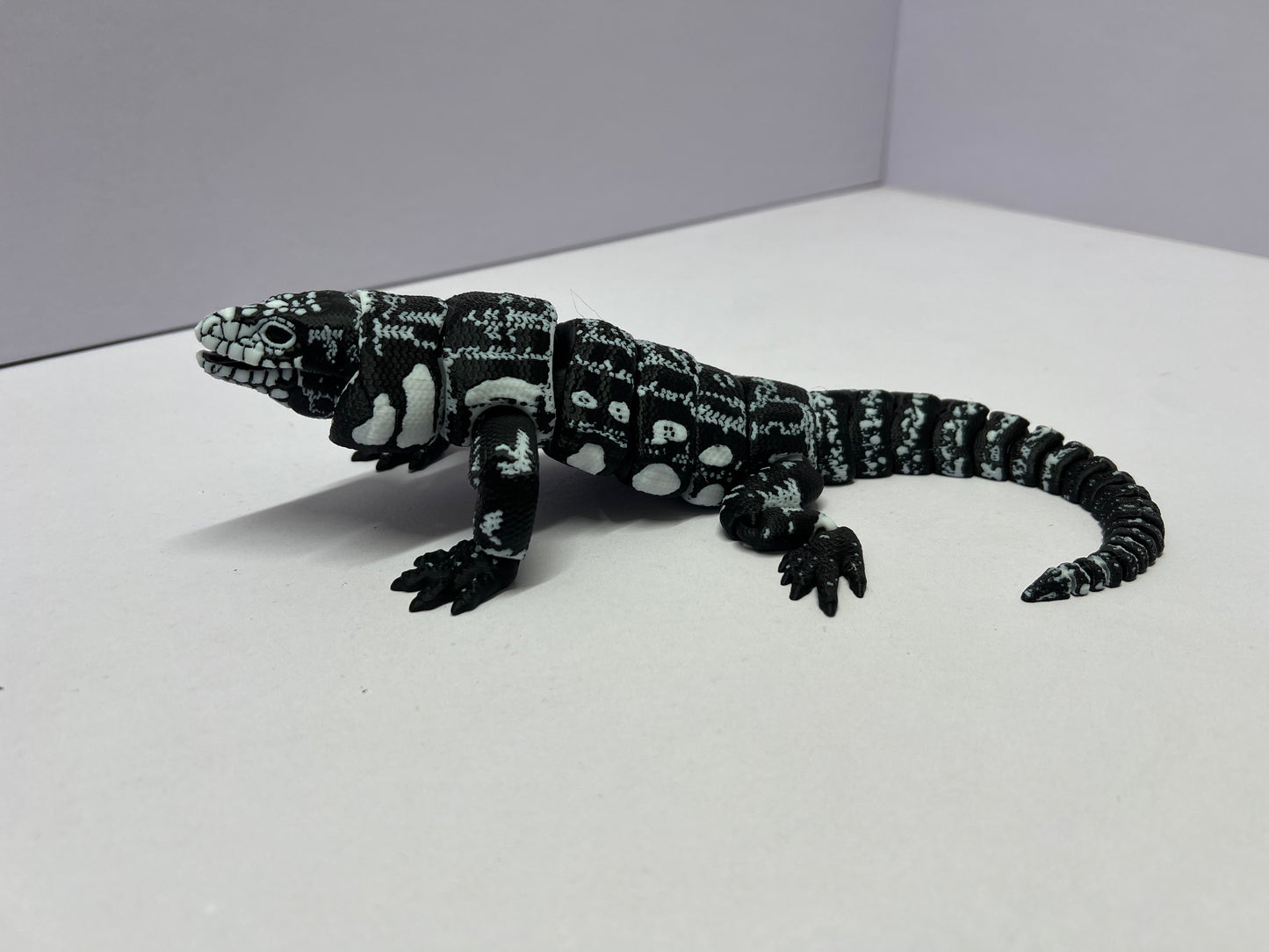 Black and White tegu