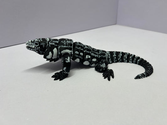 Black and White tegu