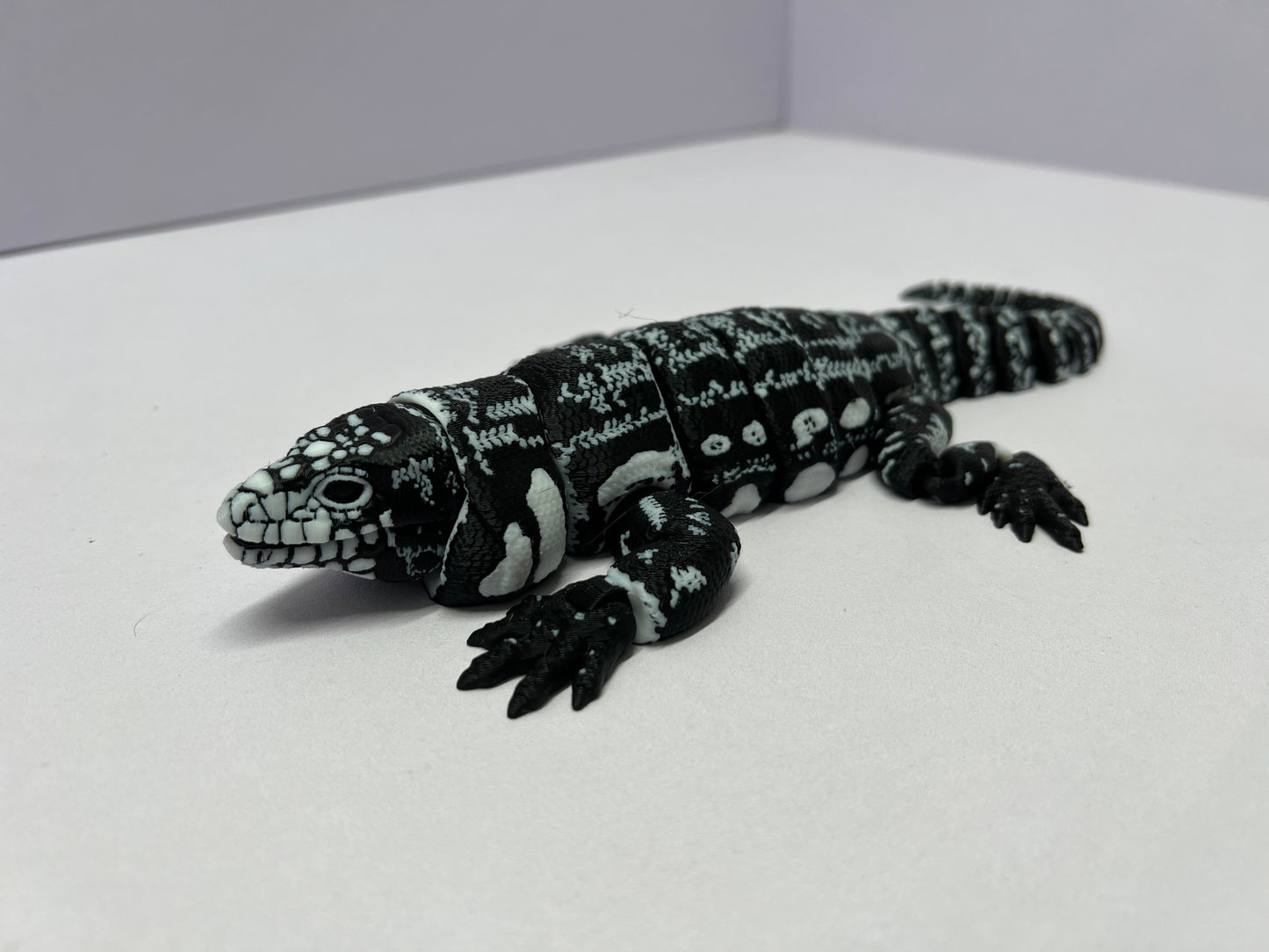 Black and White tegu