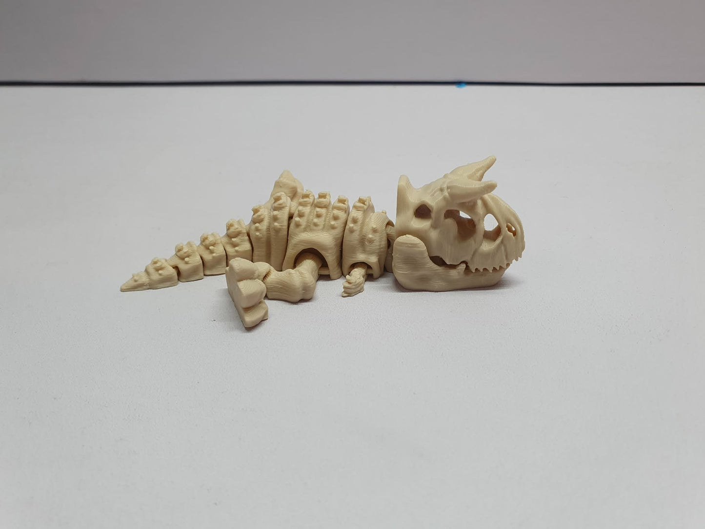 Carnotaurus skeleton