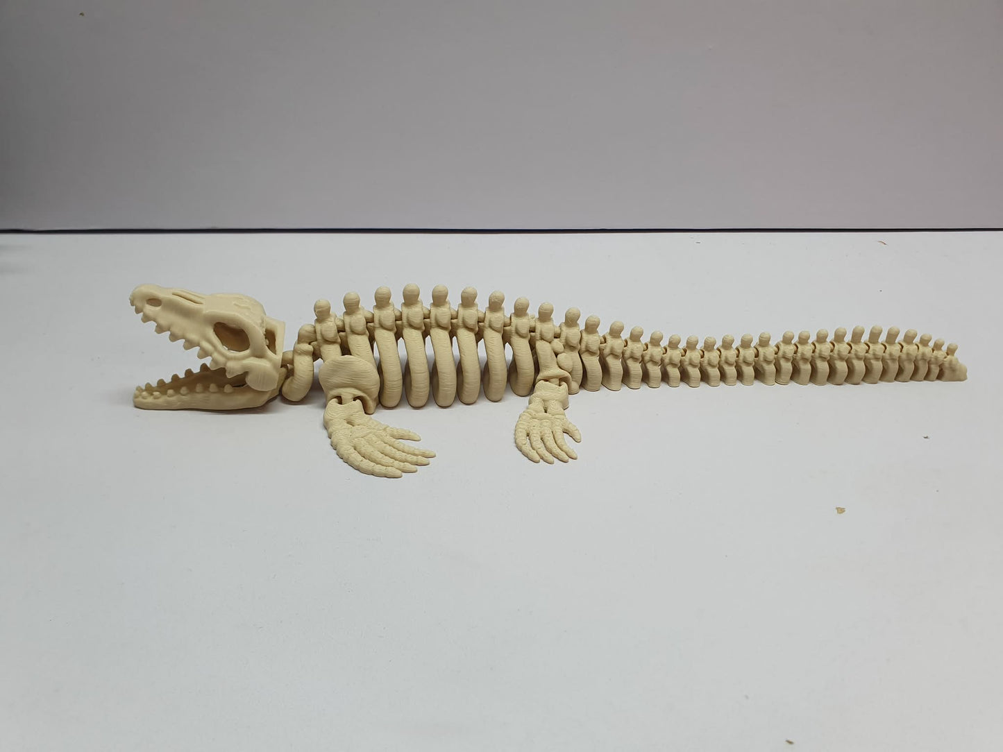 Mosasaurus skeleton Flexi