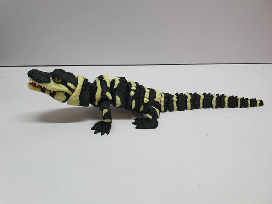 Alligator