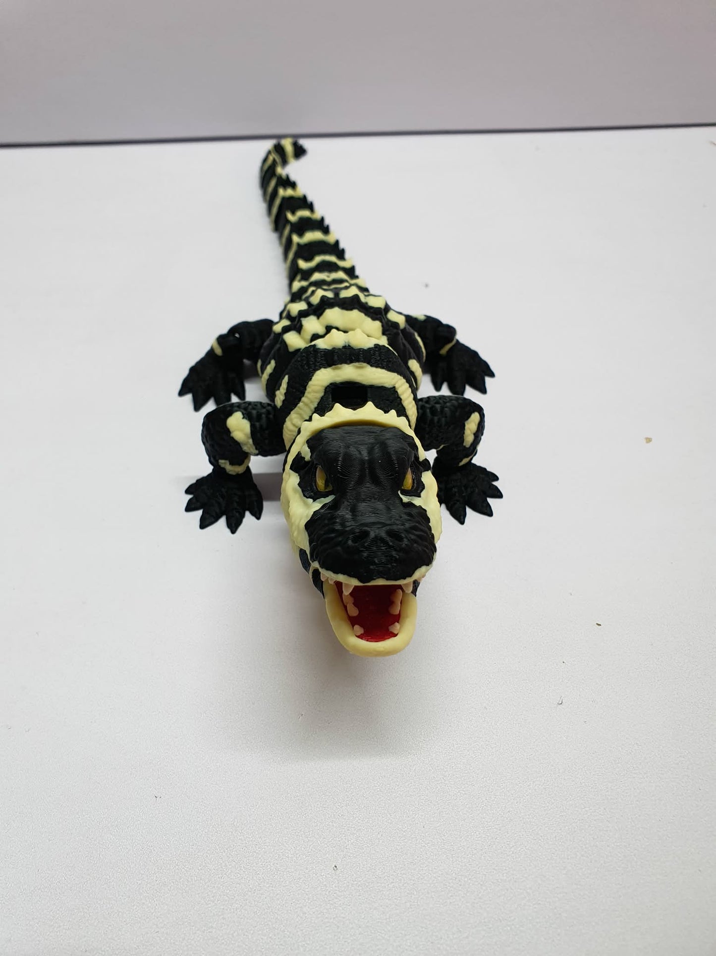 Alligator