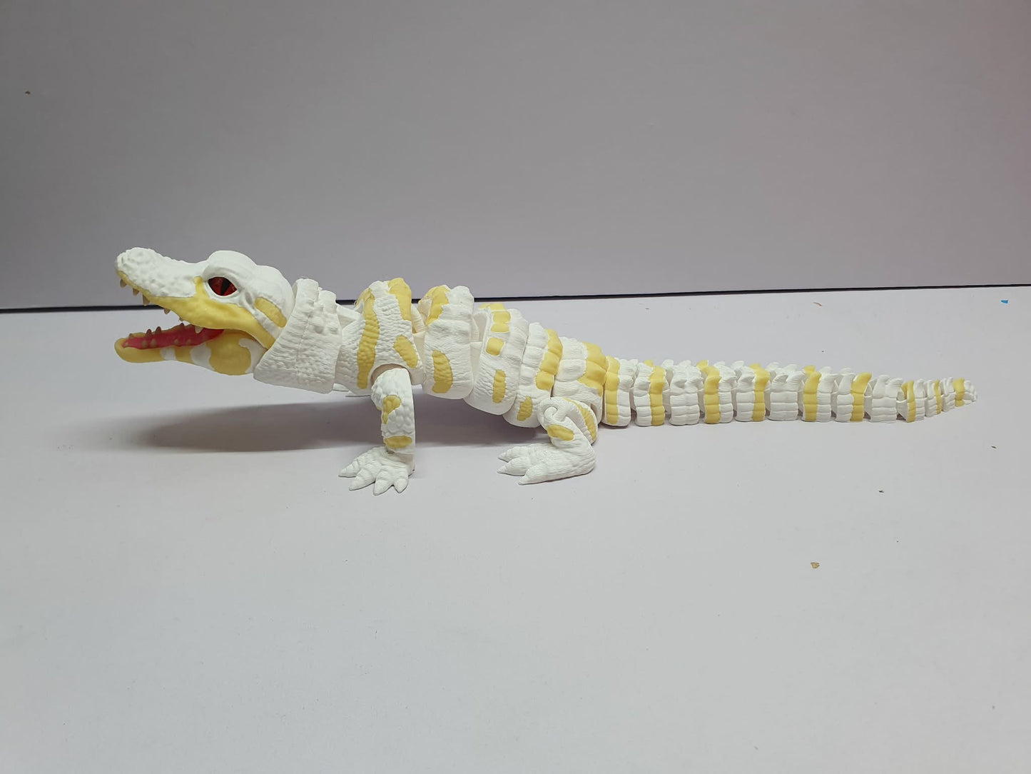 Albino alligator