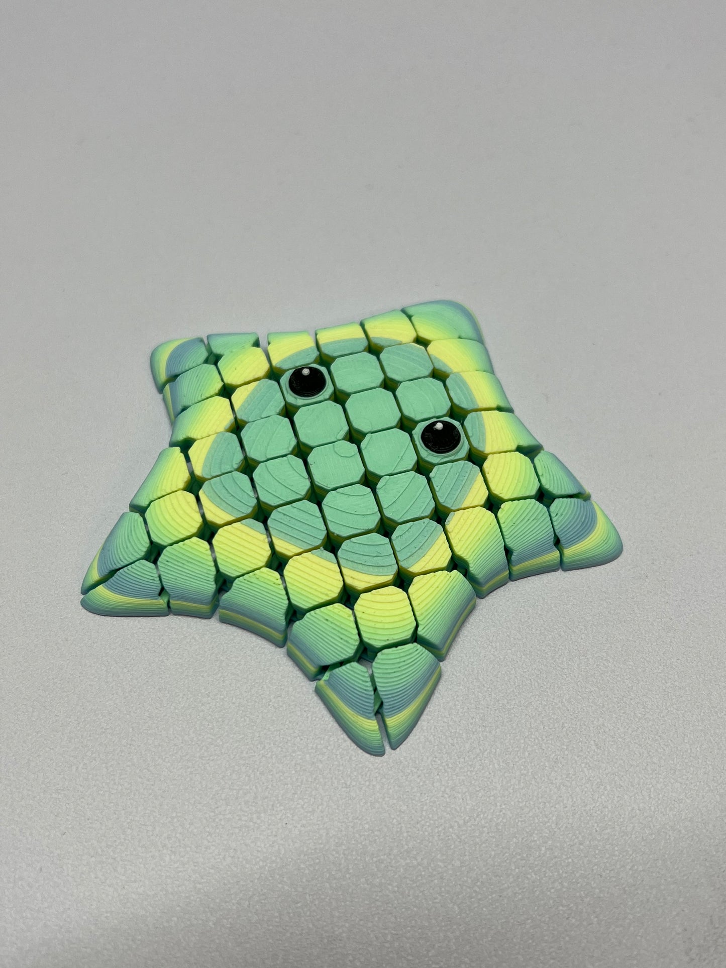Fidget Starfish