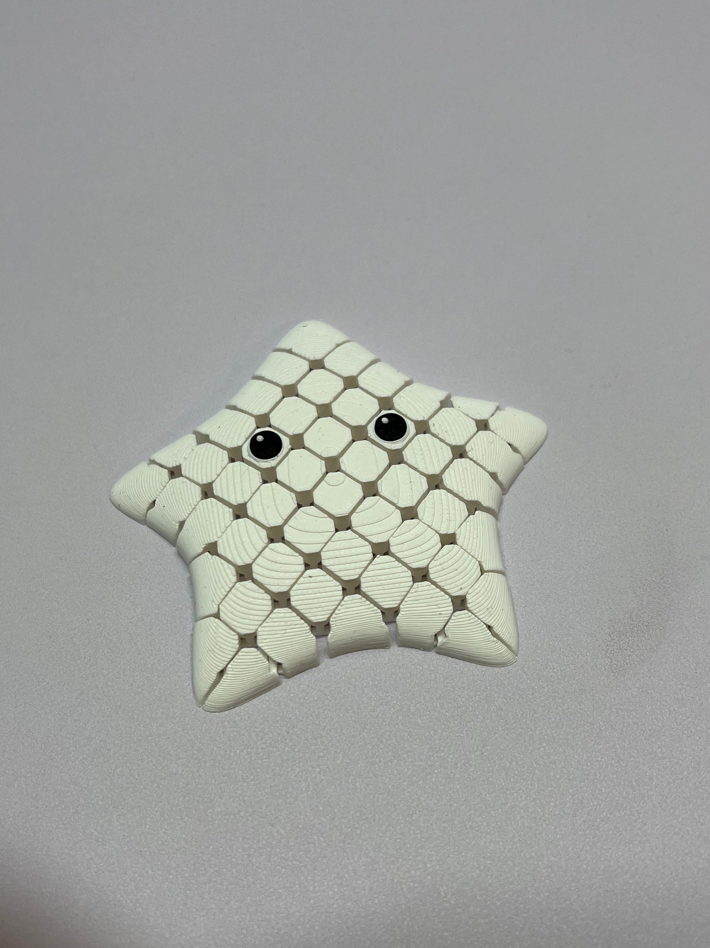 Fidget Starfish