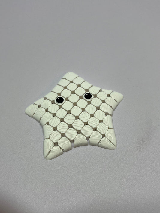 Fidget Starfish