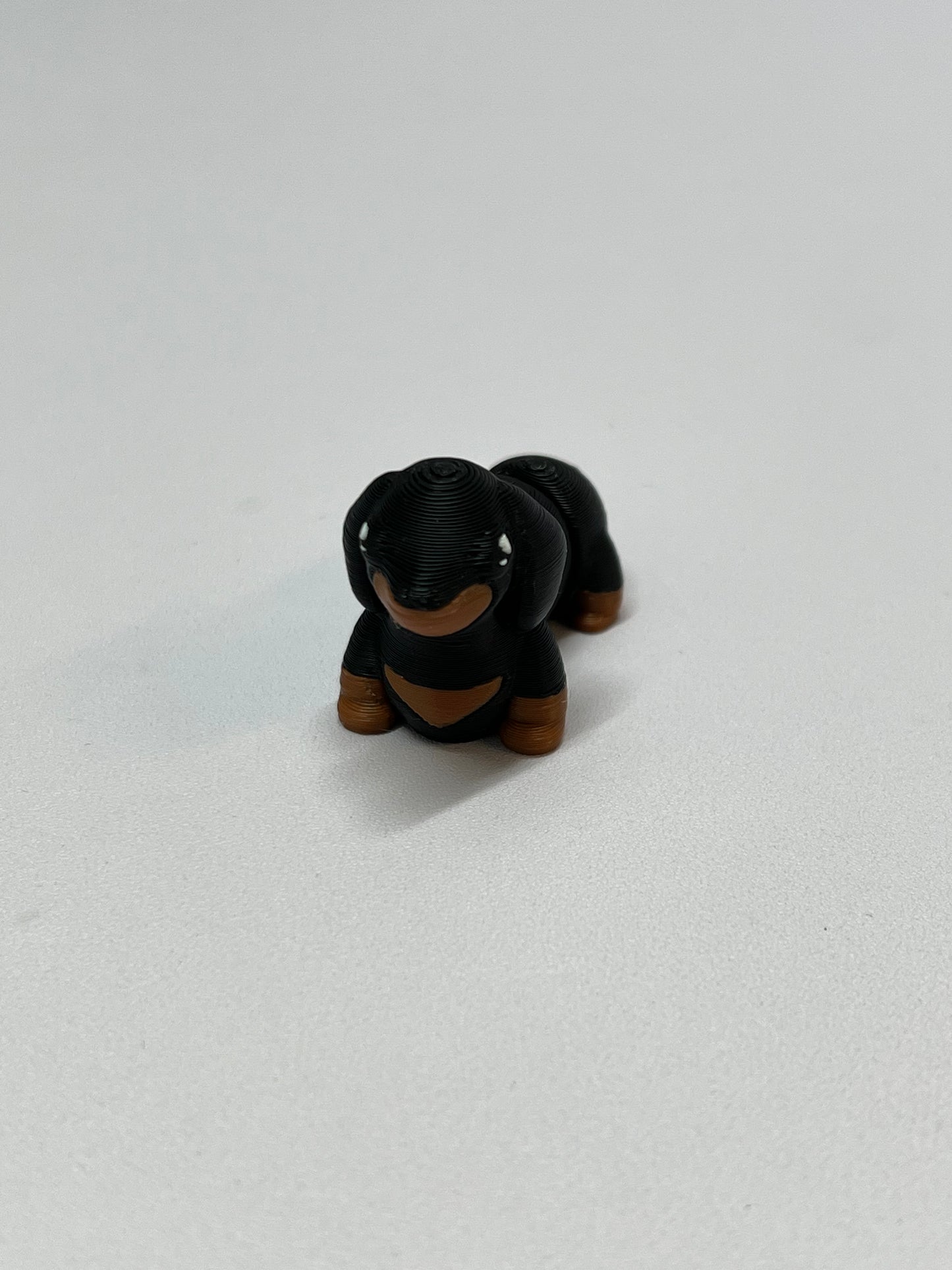 Mini dachshund
