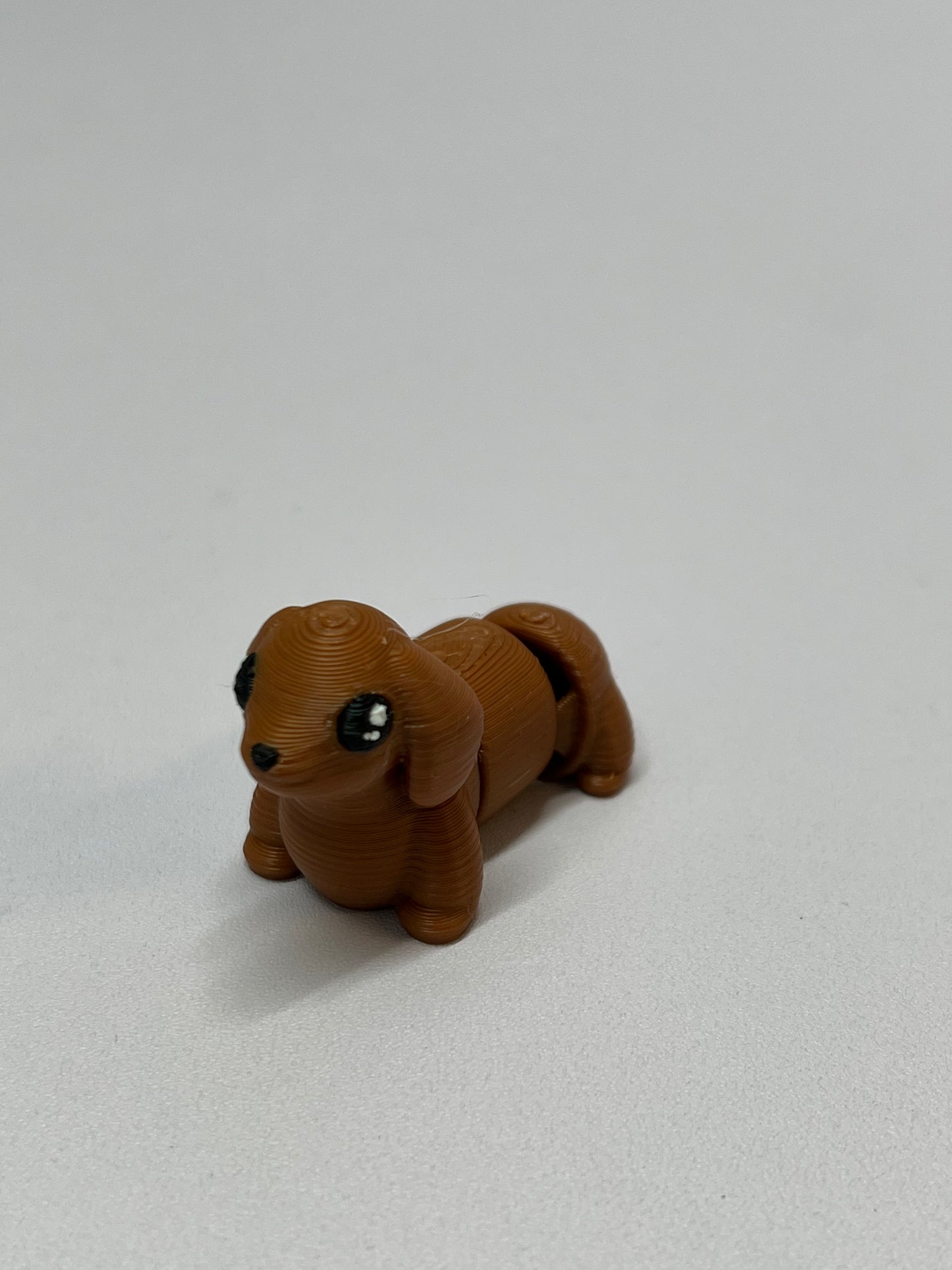 Mini dachshund
