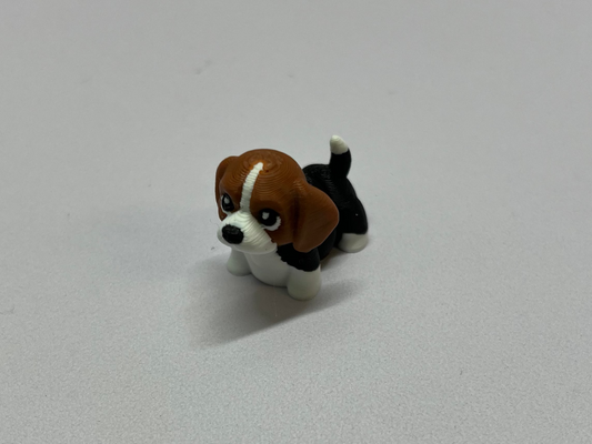 Mini beagle