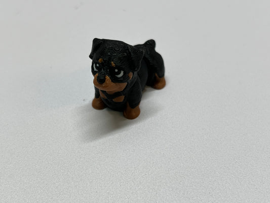 Mini Rottweiler
